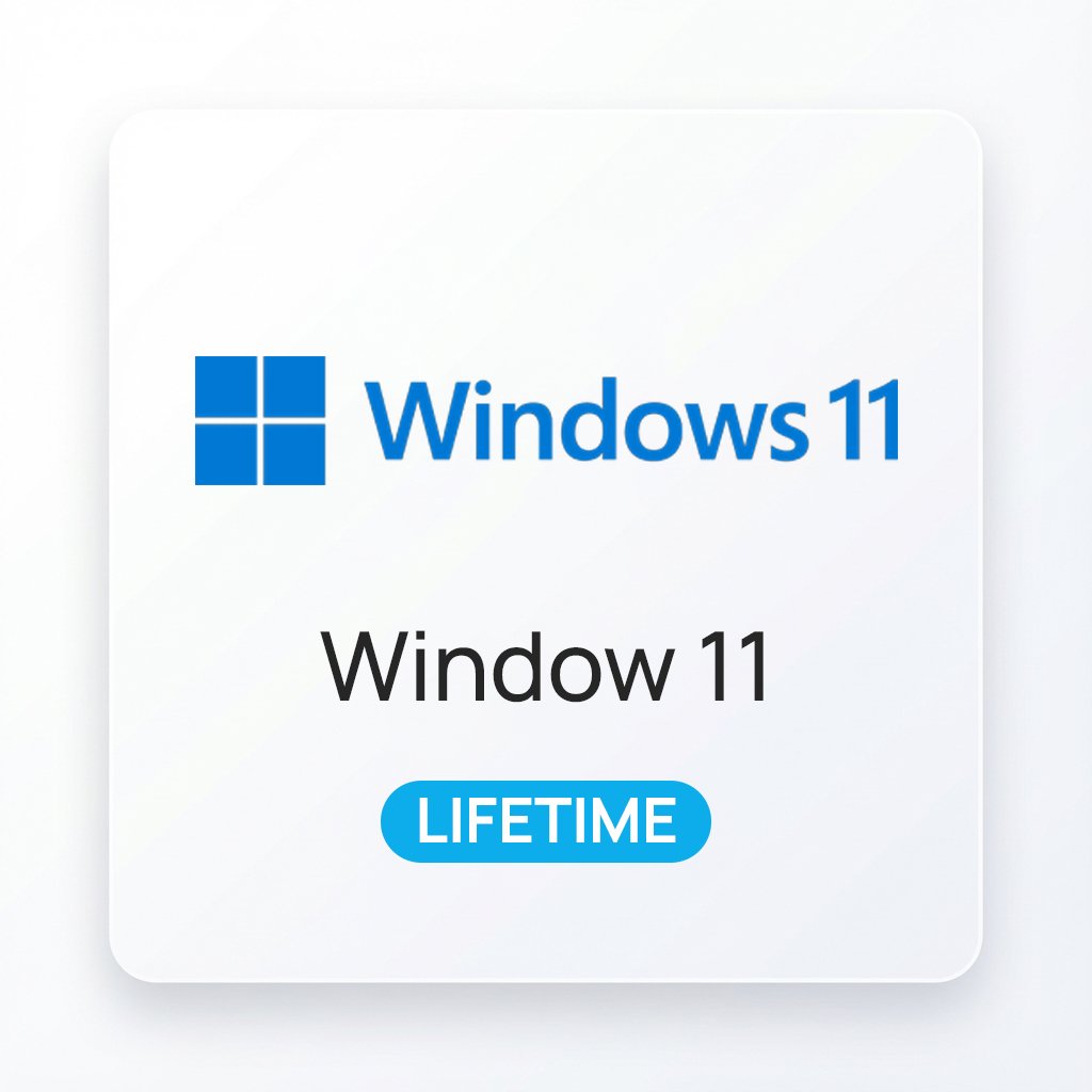 Window 11
